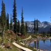 Harmony Lake Loop