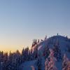 Mount Seymour Trail