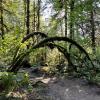 Stawamus River Trail