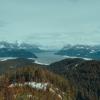 Hunter logging road