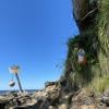 Juan de Fuca Marine Trail