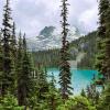 Joffre Lakes Trail