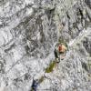 Howe Sound Crest Trail