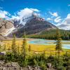 Mount robson