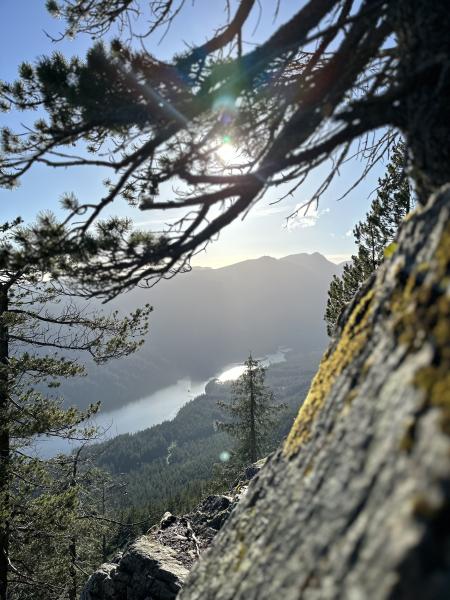 Flint And Feather Trail - Grouse Mountain