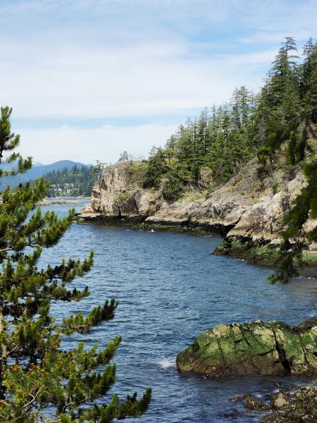 Lighthouse Park Viewpoint Loop