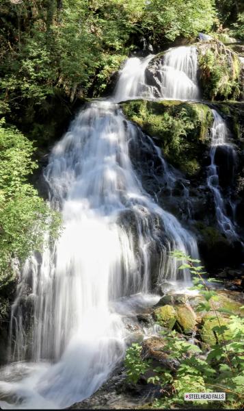 Steelhead Falls Photo | 2024 Hiking Photo Contest | Vancouver Trails