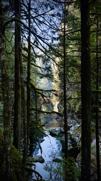 Capilano Canyon And Upper Capilano Pacific Trail Loop