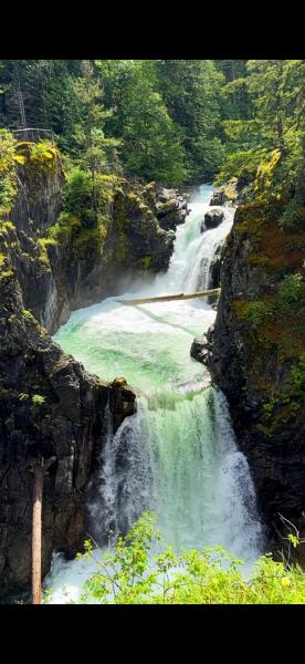 Little Qualicum Falls Trail