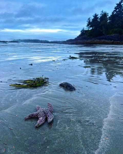 Pacific Rim Pathway