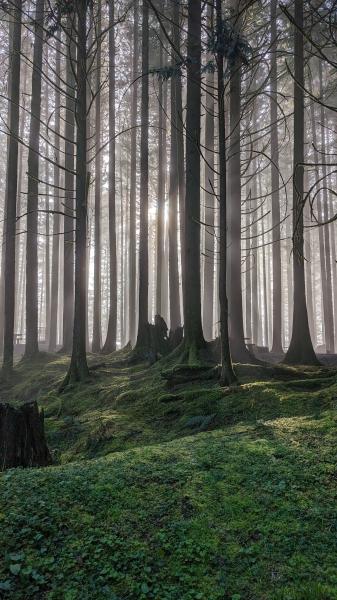 Golden Ears Provincial Park