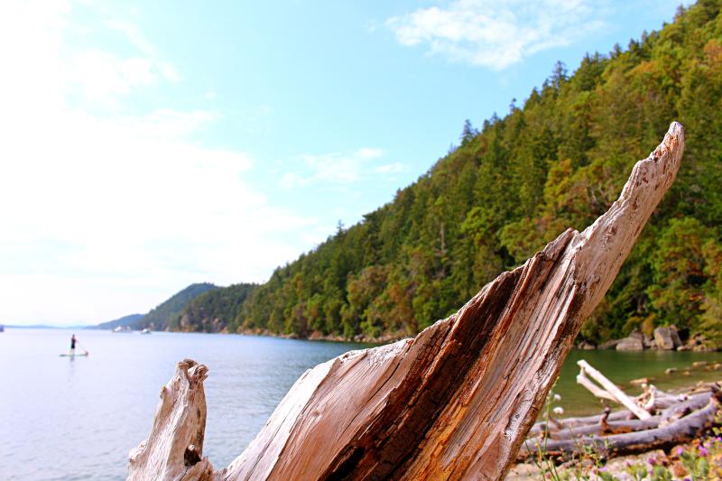 Gray Peninsula Trail