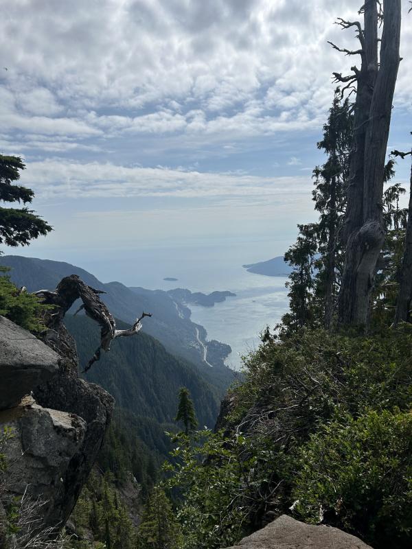 St. Mark’s Summit  Trail