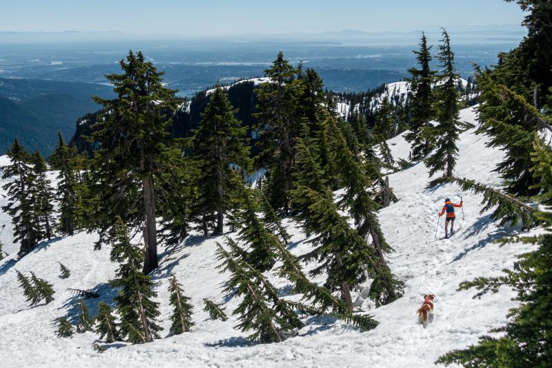 Mount Seymour First Peak