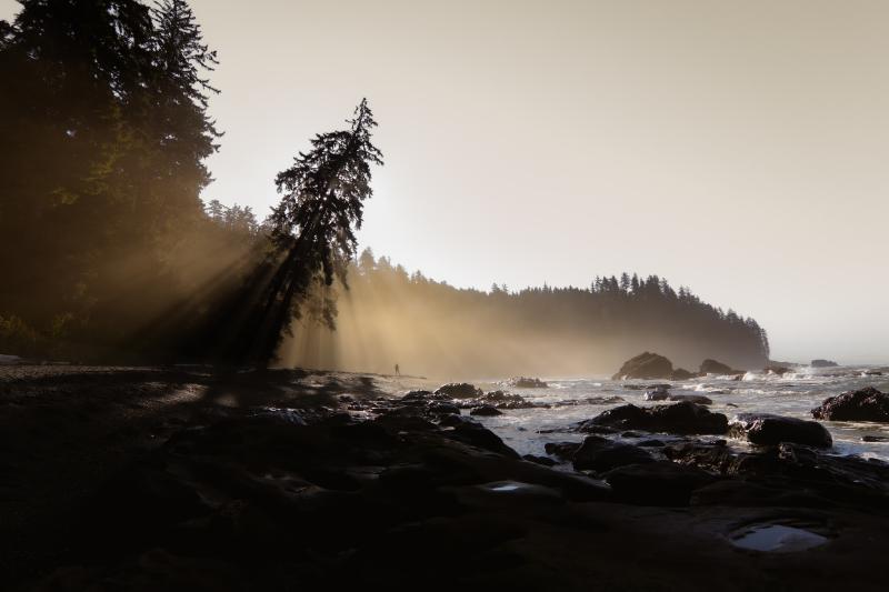 Juan De Fuca Trail