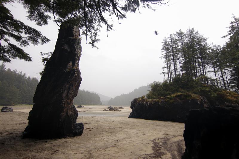 North Coast Trail