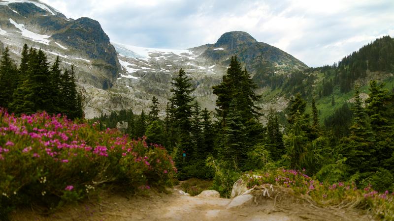 Iceberg Lake Via 19 Mile Creek Trail