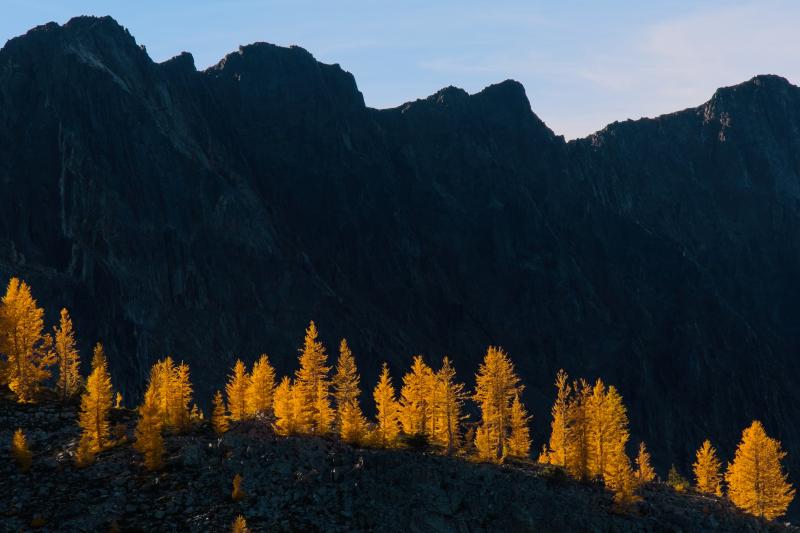 Frosty Mountain