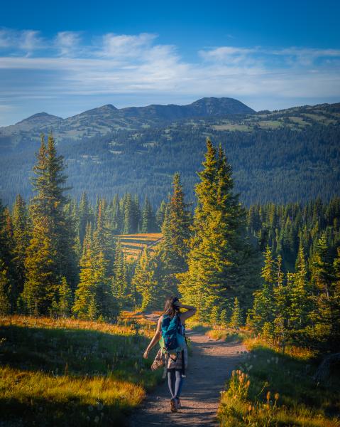 Heather Trail