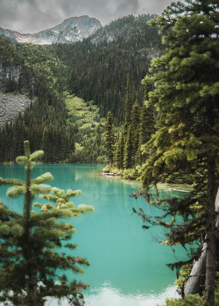 Joffre Lake Provincial Park