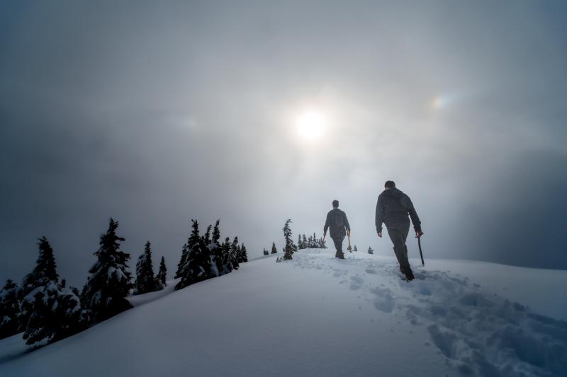 Brew Mountain Via Roe Creek Trail