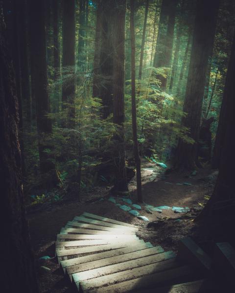 Capilano Canyon And Upper Capilano Pacific Trail Loop, Capilano River Regional Park