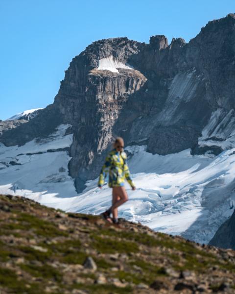 Panorama Ridge Surrounded By Giants