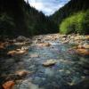 Upper Gold Creek Falls