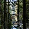 Capilano canyon and upper capilano pacific trail loop