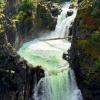 Little Qualicum Falls Trail