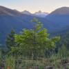 Cascade Lookout