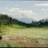 Iceberg lake Trail