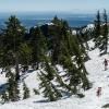 Mount Seymour First Peak