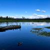 Burnaby lake trail