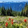 Mt Outram