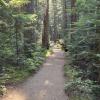 Cheakamus Lake Rd Trail