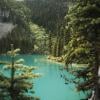 Joffre Lake Provincial Park