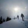 Brew Mountain via Roe Creek Trail