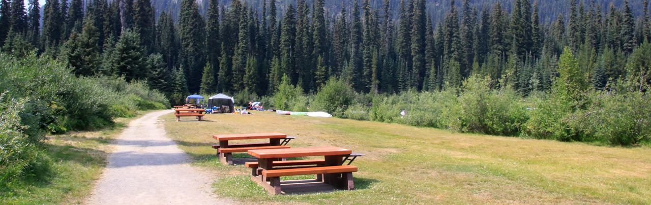 The Spruce Bay Picnic Area