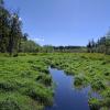 Campbell Valley Regional Park photo