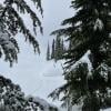 Garibaldi Lake photo