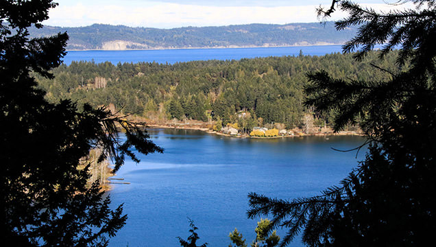 Chanel Ridge South Trail - Salt Spring Island 