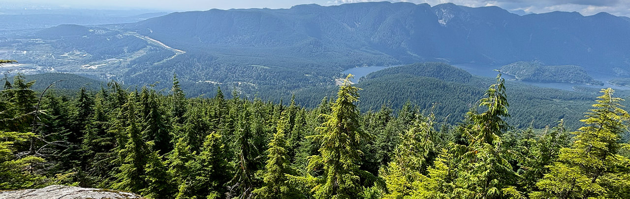 Coquitlam Lake View Trail