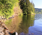 A view of a small beach area along the trail to Admiralty Point