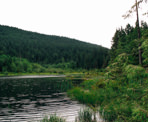 The view from the floating bridge on the south end of Buntzen Lake