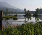 A scenic view of Cheam Lake Wetlands in Chilliwack, BC