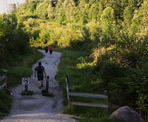 Hikers walk up the 2nd section, the steepest part of the Coquitlam Crunch