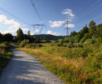 The Coquitlam Crunch follows a trail underneath the power lines