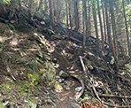 The steep trail just before the Coquitlam Lake Viewpoint