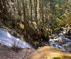 A view of Murdo Creek as it passes over McDonald Falls